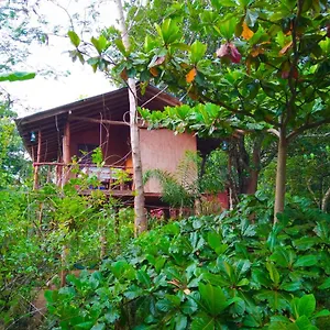 Akash Treehouse Alloggio in famiglia Sigiriya